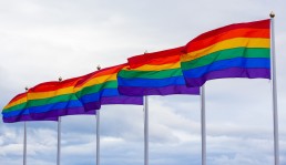 Regenboogvlaggen