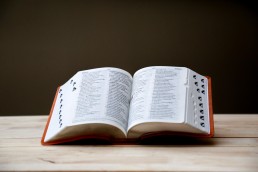 eenvoudig Waals foto woordenboek